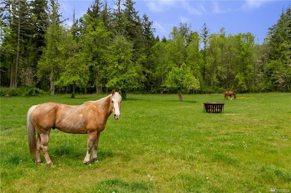 Pierce County horse property